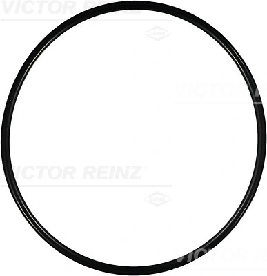 Seal Ring